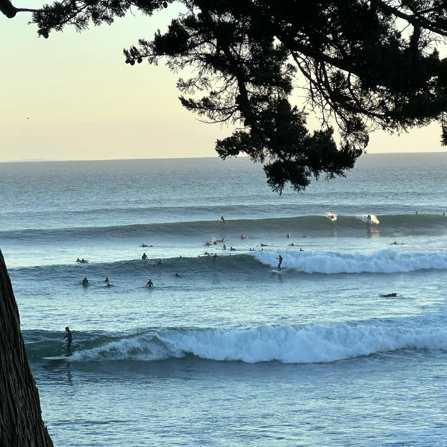 Cypress Point coastline